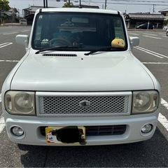 🐰ラパン