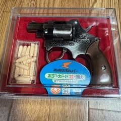 エアガン？ ボデーガード 
