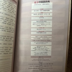 [お話し中]中国語辞典の画像