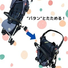 Pigeon PATTANの画像