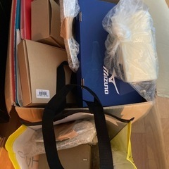 ポーセラーツ白磁まとめて処分の画像