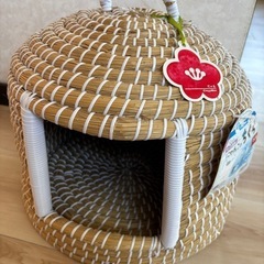 カイザ草の猫小屋