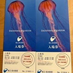 江ノ島水族館チケット