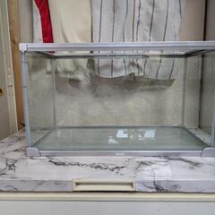 Tetra　テトラ　50センチ水槽