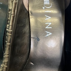 DIANAヒール
の画像