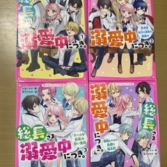 ジュニア文庫　総長さま、溺愛中につき　4巻の画像