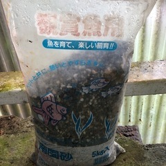 観賞魚用　南国砂　　　　　　