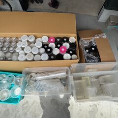 クワガタ　カブトムシ飼育セット　クリアスライダー　菌糸瓶　カップ等