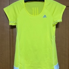 adidas レディスTシャツ