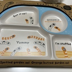 新品　お食事セットの画像