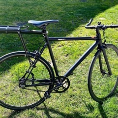 Fuji track arcv 52cm   の画像