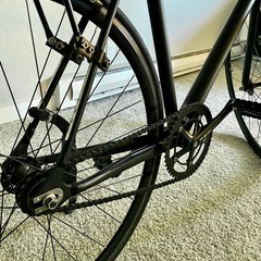 Fuji track arcv 52cm   の画像