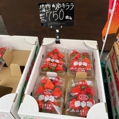 あつま産🍓ゆきララ入荷しました！✨