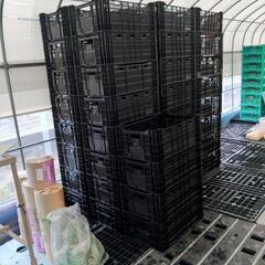 コンテナ　サンテナ　80ケ有　バラ売り可