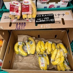 塾選バナナ入荷しました！✨