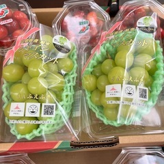山梨県産の美味しいシャインマスカット入荷しました✨