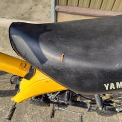 バイク２台の画像