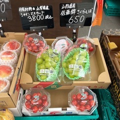 山形県産🍒佐藤錦入荷しました！✨