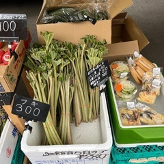 山ブキ入荷しました！✨