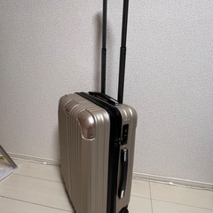 キャリーバック