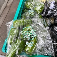 高知県産ピーマン入荷しました！✨