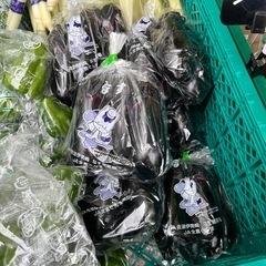 群馬県産ナス入荷しました！✨