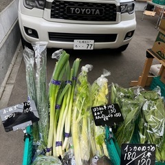 道産の美味しいセロリ入荷しました！✨