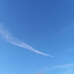 5月25日(日)は自然の力体験！✨神の国地球✨あなたはどう…