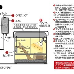 エキゾテラ　イージーグローサーモの画像