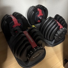 可変式ダンベル　片側24kgまで　2個セット
