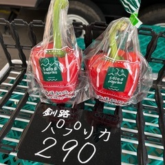 釧路産のパプリカ入荷しました！✨