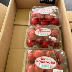 【在庫1】高知県産フルーツトマト🍅トロピカルSALEします✨