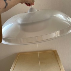 電気