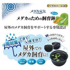 中古メダカ飼育ケース軽量(16L)1点のみの画像
