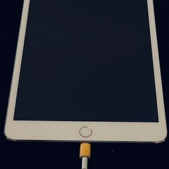 iPad mini 3