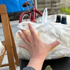 軍手　B級品　規格外品　訳あり商品の画像