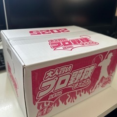 プロ野球チップス2025