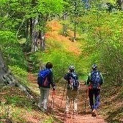 登山🥾キャンプ🏕️オフ会🍺 