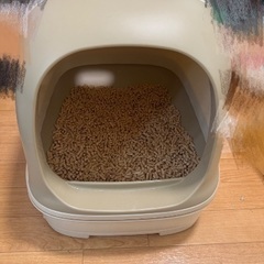 猫　トイレ　未使用　お譲りします