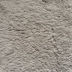 【200×240】カーペット　絨毯　三畳の画像