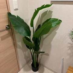 ニトリ／フェイクグリーン 130cm