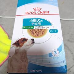 ロイヤルカナン子犬パピー用