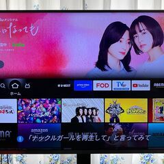 【2019年購入】ハイセンス　55インチ　高画質4K HDR　液晶テレビ　無線LAN内蔵　HJ55N5100