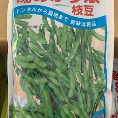 湯あがり娘　枝豆　1袋2000粒