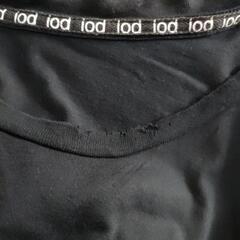 レディースTシャツの画像
