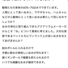 B-blast　魔法のスティック2本　ペット用浄水の画像