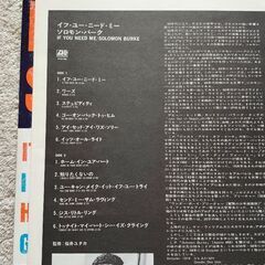 ソロモン・バーグ    LPレコードの画像