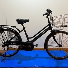 Panasonic ティモS 大容量16ah