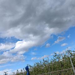 川釣りしてる方