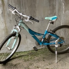 Trek MT220 トレック マウンテンバイク 6段変速 24...